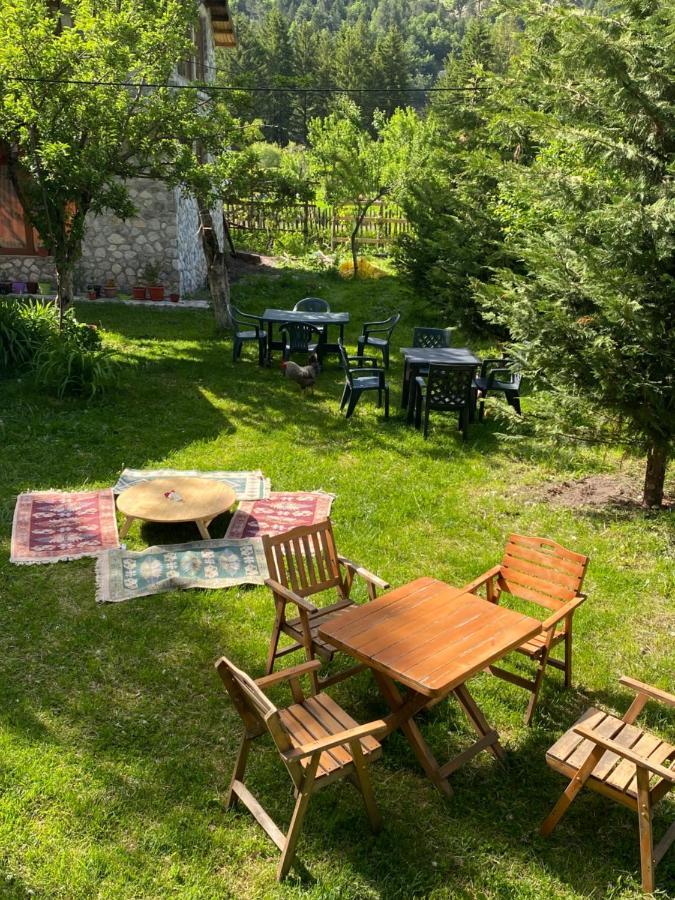 Guesthouse Demushi Valbone Eksteriør bilde